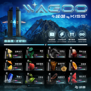 迪拜爆款💖 WAGOO &KIS5 哇酷拋棄式6500口 可充電🔋電子煙 磁吸組合 雙口味自由混搭【滿十送一】