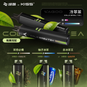迪拜爆款💖 WAGOO &KIS5 哇酷拋棄式6500口 可充電🔋電子煙 磁吸組合 雙口味自由混搭【滿十送一】