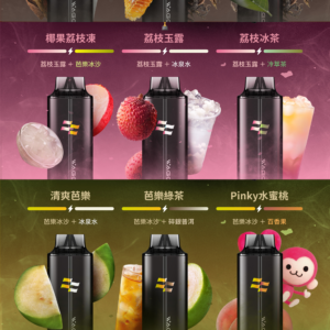 迪拜爆款💖 WAGOO &KIS5 哇酷拋棄式6500口 可充電🔋電子煙 磁吸組合 雙口味自由混搭【滿十送一】